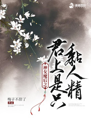 魔君与神女小说