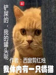 我体内有一只橘猫英文