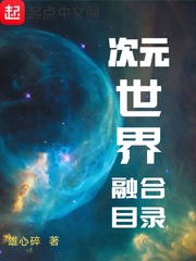 次元世界融合目录(雄心碎)