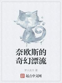 奈欧斯的奇幻漂流记小说