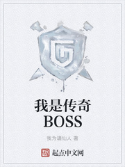 我是传奇boss小说免费