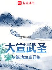 大宣武圣零点看书