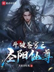 斗破苍穹之圣阳仙尊无错版